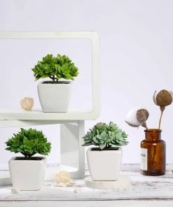 Silkflowersfactory Succulents Set Of 3 | 4'' Assorted Green Echeveria Artificial Plants With Pots