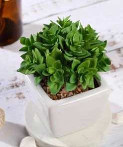 Silkflowersfactory Succulents Set Of 3 | 4'' Assorted Green Echeveria Artificial Plants With Pots