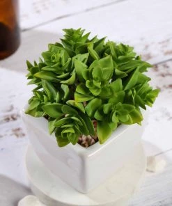 Silkflowersfactory Succulents Set Of 3 | 4'' Assorted Green Echeveria Artificial Plants With Pots