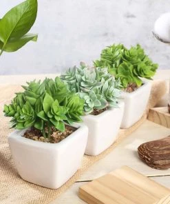 Silkflowersfactory Succulents Set Of 3 | 4'' Assorted Green Echeveria Artificial Plants With Pots