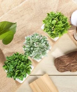 Silkflowersfactory Succulents Set Of 3 | 4'' Assorted Green Echeveria Artificial Plants With Pots