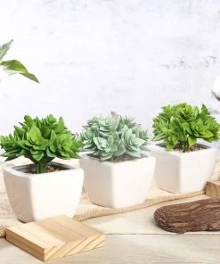 Silkflowersfactory Succulents Set Of 3 | 4'' Assorted Green Echeveria Artificial Plants With Pots