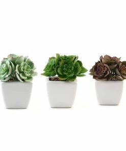Silkflowersfactory Set Of 3 | 5'' Assorted Mini Echeveria Artificial Plants With Pots Succulents