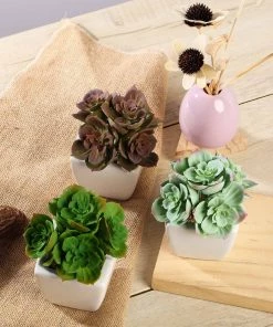 Silkflowersfactory Set Of 3 | 5'' Assorted Mini Echeveria Artificial Plants With Pots Succulents