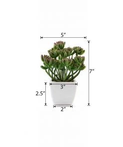Silkflowersfactory Set Of 3 | 7'' Assorted Stonecrop Artificial Plants With Pots