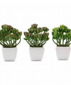 Silkflowersfactory Set Of 3 | 7'' Assorted Stonecrop Artificial Plants With Pots
