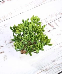 Silkflowersfactory Set Of 3 | 7'' Assorted Stonecrop Artificial Plants With Pots