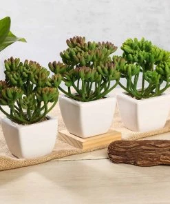 Silkflowersfactory Set Of 3 | 7'' Assorted Stonecrop Artificial Plants With Pots