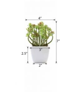Silkflowersfactory Set Of 3 | 7'' Assorted Crassula Artificial Plants With Pots Succulents