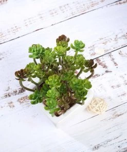 Silkflowersfactory Set Of 3 | 7'' Assorted Crassula Artificial Plants With Pots Succulents