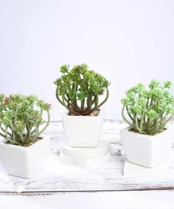 Silkflowersfactory Set Of 3 | 7'' Assorted Crassula Artificial Plants With Pots Succulents
