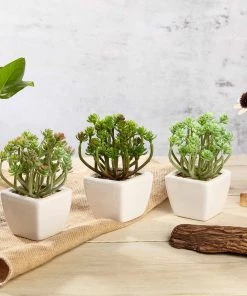 Silkflowersfactory Set Of 3 | 7'' Assorted Crassula Artificial Plants With Pots Succulents