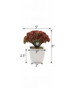 Silkflowersfactory Succulents Set Of 3 | 6'' Assorted Autumn Joy Sedum Artificial Plants With Pots