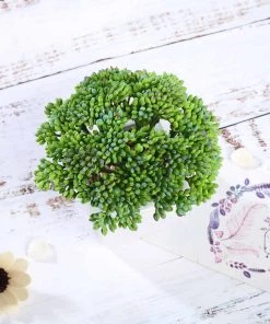 Silkflowersfactory Succulents Set Of 3 | 6'' Assorted Autumn Joy Sedum Artificial Plants With Pots