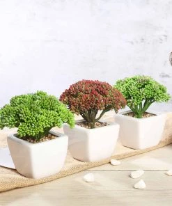 Silkflowersfactory Succulents Set Of 3 | 6'' Assorted Autumn Joy Sedum Artificial Plants With Pots