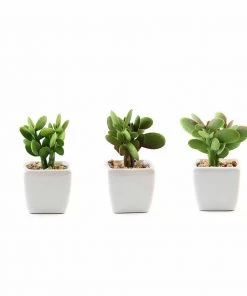 Silkflowersfactory Set Of 3 | 3'' Assorted Green Mini Artificial Plants With Pots