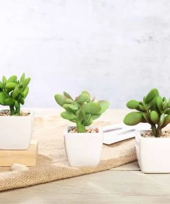 Silkflowersfactory Set Of 3 | 3'' Assorted Green Mini Artificial Plants With Pots