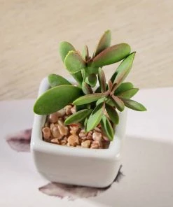 Silkflowersfactory Set Of 3 | 3'' Assorted Green Mini Artificial Plants With Pots