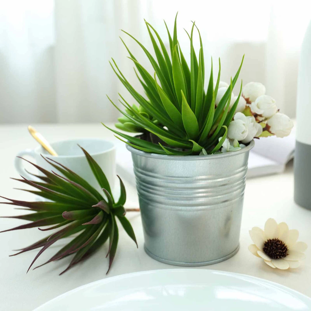 Silkflowersfactory Succulents Set Of 3 | 8" Aloe Cactus Decorative Artificial Plants 6 Silkflowersfactory Succulents Set Of 3 | 8" Aloe Cactus Decorative Artificial Plants