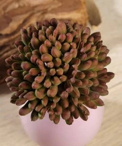 Silkflowersfactory Set Of 3 | 4