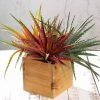 Silkflowersfactory Set Of 3 | 12" Aloe Cameronii Decorative Artificial Plants Succulents