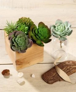 Silkflowersfactory Set Of 3 | 6