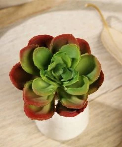 Silkflowersfactory Succulents Set Of 3 | 3" Echeveria Orion Decorative Artificial Plants 15 Silkflowersfactory Succulents Set Of 3 | 3
