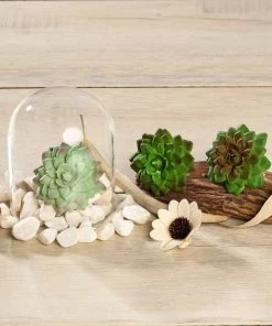 Silkflowersfactory Set Of 3 | 3" Parva Echeveria Stems Decorative Artificial Plants Succulents