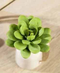 Silkflowersfactory Succulents Set Of 3 | 3