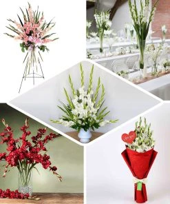 HIER_1150 3 Bushes | 36