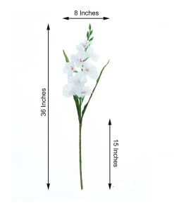 HIER_1150 3 Bushes | 36