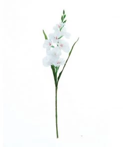 HIER_1150 3 Bushes | 36