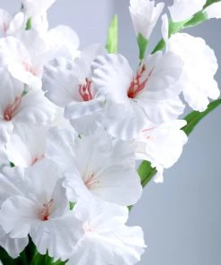 HIER_1150 3 Bushes | 36