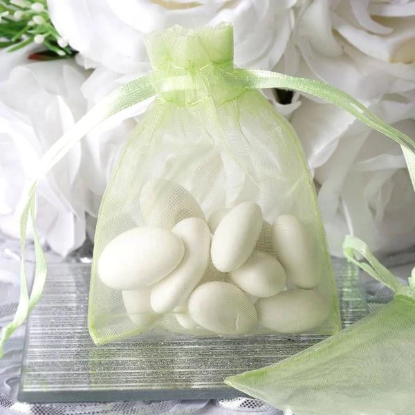 Silkflowersfactory 3"x4" Mint Organza Jewellery Wedding Birthday Party Favor Gift Drawstring Pouches Bags - 10/pk 3 Silkflowersfactory 3"x4" Mint Organza Jewellery Wedding Birthday Party Favor Gift Drawstring Pouches Bags - 10/pk