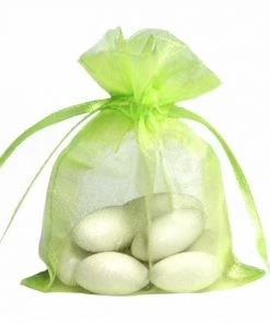 Silkflowersfactory Craft Supplies 4x6 Mint Sheer Organza Bags -10 Pcs