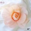 Silkflowersfactory 8" Large Foam Rose Backdrop Wall Decor - Blush - 6 Pcs Foam Flower Wall Decor 2 Silkflowersfactory 8" Large Foam Rose Backdrop Wall Decor - Blush - 6 Pcs Foam Flower Wall Decor
