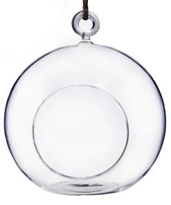 Silkflowersfactory Graceful Globe Glass Terrarium 4/pk Flower Vases & Decorations