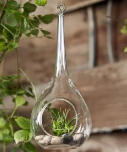 Silkflowersfactory Freefalling Teardrop Glass Terrarium 6/pk