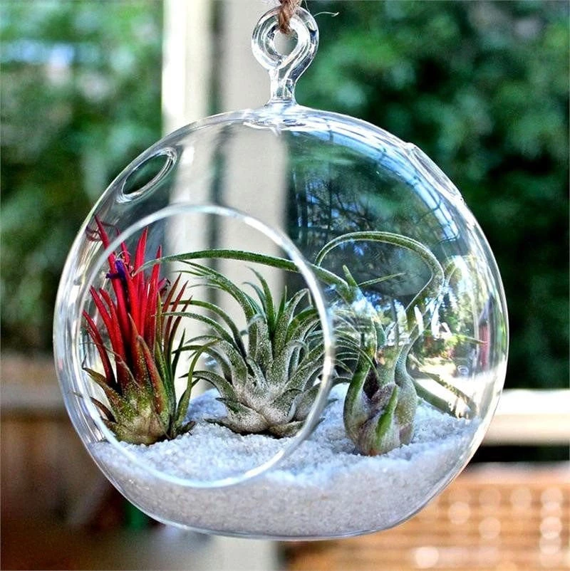 Silkflowersfactory Flower Vases & Decorations Gigantic Globe Glass Terrarium 4/pk 3 Silkflowersfactory Flower Vases & Decorations Gigantic Globe Glass Terrarium 4/pk