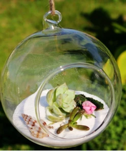 Silkflowersfactory Succulents Set Of 3 | 3