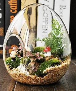 Silkflowersfactory Egg Glass Terrarium 6/pk