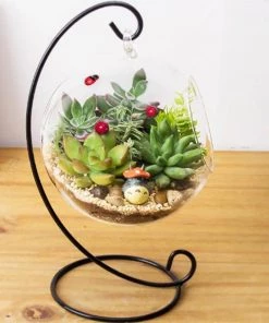 Silkflowersfactory Succulents Set Of 3 | 3