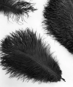 Silkflowersfactory 12 Pack | 13"-15" Natural Plume Real Ostrich Feathers Vase Centerpiece - Black
