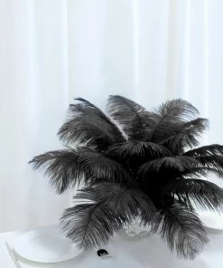 Silkflowersfactory 12 Pack | 13"-15" Natural Plume Real Ostrich Feathers Vase Centerpiece - Black