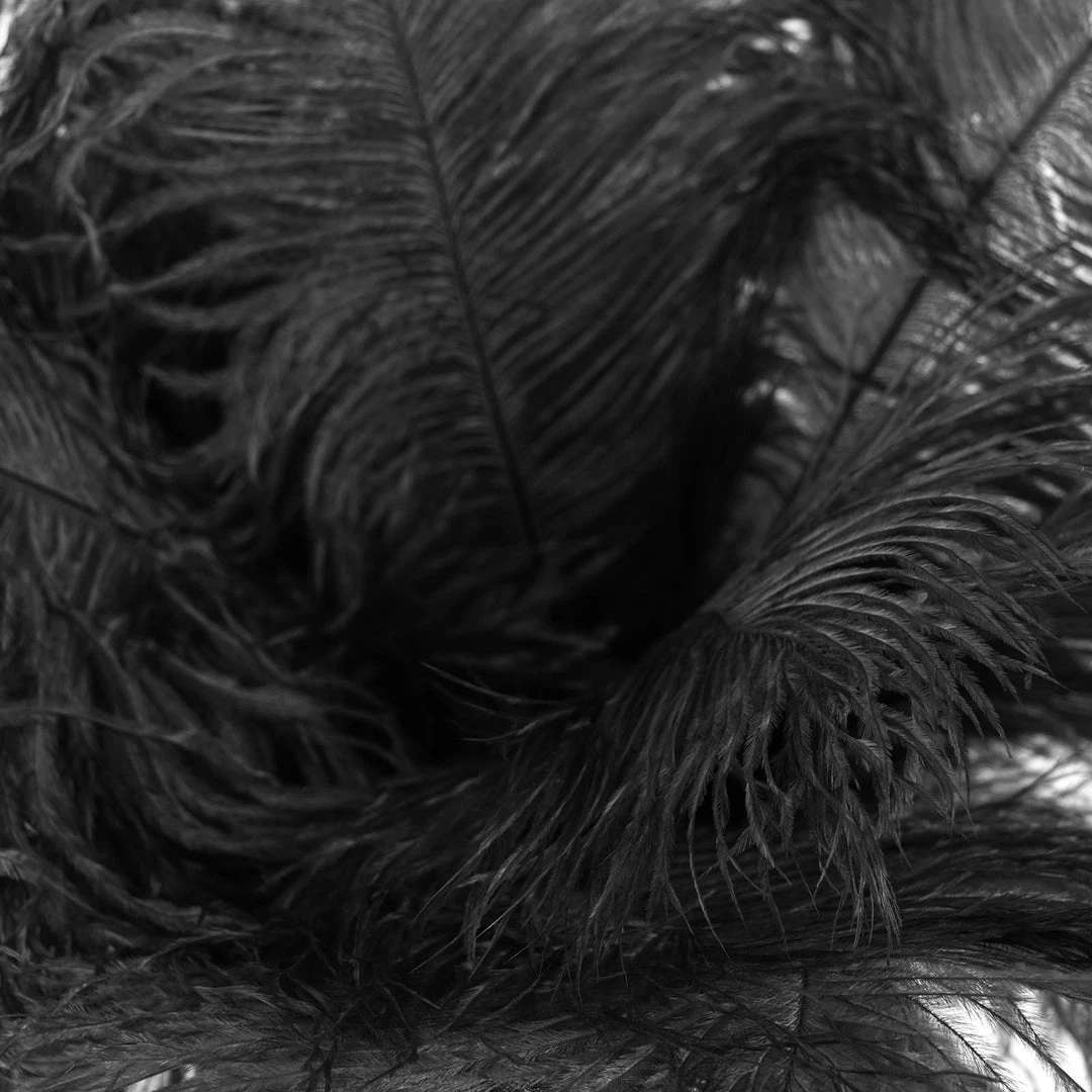 Silkflowersfactory 12 Pack | 13"-15" Natural Plume Real Ostrich Feathers Vase Centerpiece - Black 12 Silkflowersfactory 12 Pack | 13"-15" Natural Plume Real Ostrich Feathers Vase Centerpiece - Black