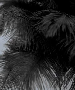 Silkflowersfactory 12 Pack | 13"-15" Natural Plume Real Ostrich Feathers Vase Centerpiece - Black 20 Silkflowersfactory 12 Pack | 13