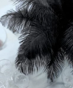 Silkflowersfactory 12 Pack | 13"-15" Natural Plume Real Ostrich Feathers Vase Centerpiece - Black 14 Silkflowersfactory 12 Pack | 13
