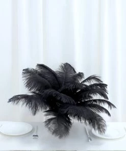 Silkflowersfactory 12 Pack | 13"-15" Natural Plume Real Ostrich Feathers Vase Centerpiece - Black 15 Silkflowersfactory 12 Pack | 13