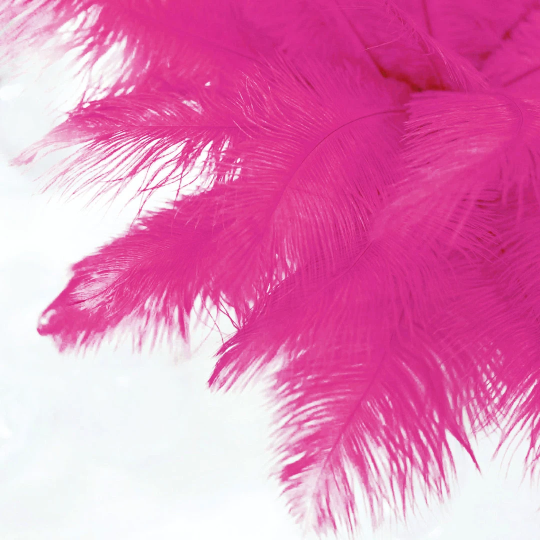 Silkflowersfactory 12 Pack | 13"-15" Natural Plume Real Ostrich Feathers Vase Centerpiece - Fushia 7 Silkflowersfactory 12 Pack | 13"-15" Natural Plume Real Ostrich Feathers Vase Centerpiece - Fushia
