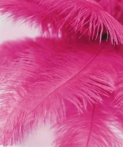 Silkflowersfactory 12 Pack | 13"-15" Natural Plume Real Ostrich Feathers Vase Centerpiece - Fushia 18 Silkflowersfactory 12 Pack | 13